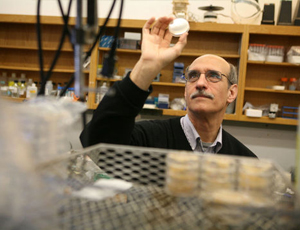 在线DDOS平台攻击