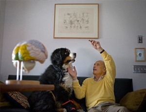 手机攻击器APP下载