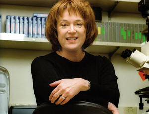 账号交易安全的ddos服务器攻击手段