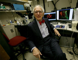 免费ddos在线攻击测试网站